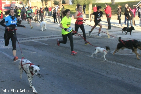 El primer canicròs de l’any a Tivenys, amb la implicació de tot el poble | EbreActiu.cat, revista digital d’oci actiu | Terres de l’Ebre ... El primer canicròs de l’any a Tivenys, amb la implicació de tot el poble | EbreActiu.cat, revista digital d’oci actiu | Terres de l’Ebre ...