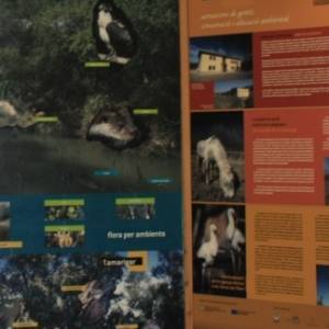 �lbum: reserva natural de Sebes (Flix)