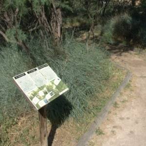 �lbum: reserva natural de Sebes (Flix)