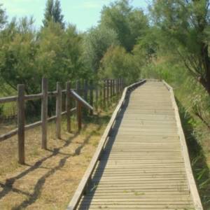 �lbum: reserva natural de Sebes (Flix)