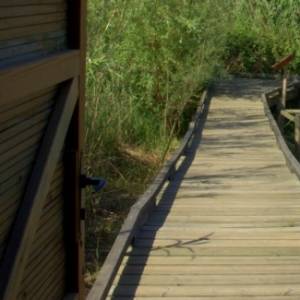 �lbum: reserva natural de Sebes (Flix)