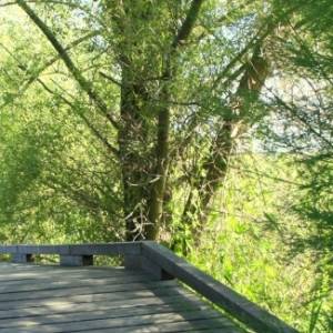 �lbum: reserva natural de Sebes (Flix)