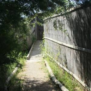 �lbum: reserva natural de Sebes (Flix)