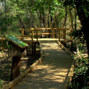 �lbum: reserva natural de Sebes (Flix)