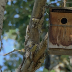 �lbum: reserva natural de Sebes (Flix)