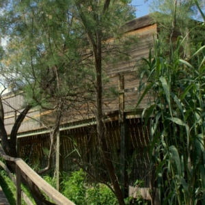 �lbum: reserva natural de Sebes (Flix)