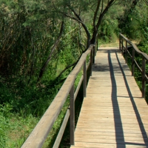 �lbum: reserva natural de Sebes (Flix)
