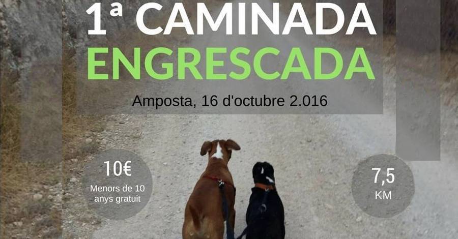 1a Caminata Engrescada