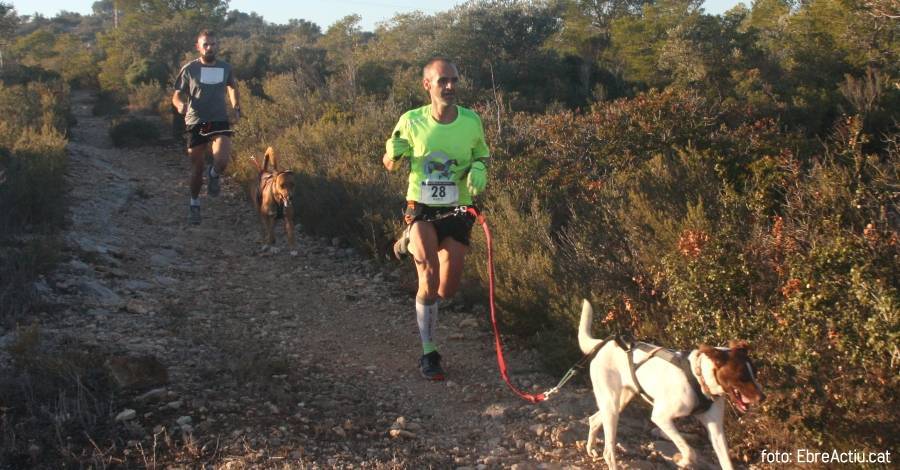 Disputat el primer canicrs de lAldea a la serra de les Veles