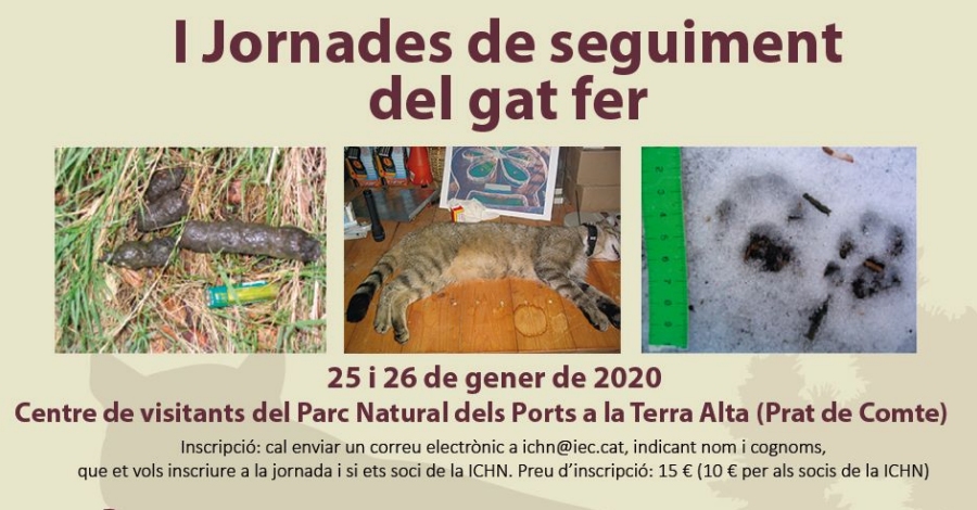 I Jornadas de seguimiento del gato mont�s