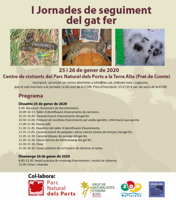 I Jornades de seguiment del gat fer I Jornades de seguiment del gat fer
