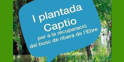 I Plantada Captio per a la recuperaci� del bosc de ribera de l&rsquo;Ebre