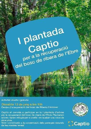 I Plantada Captio per a la recuperaci� del bosc de ribera de l&rsquo;Ebre