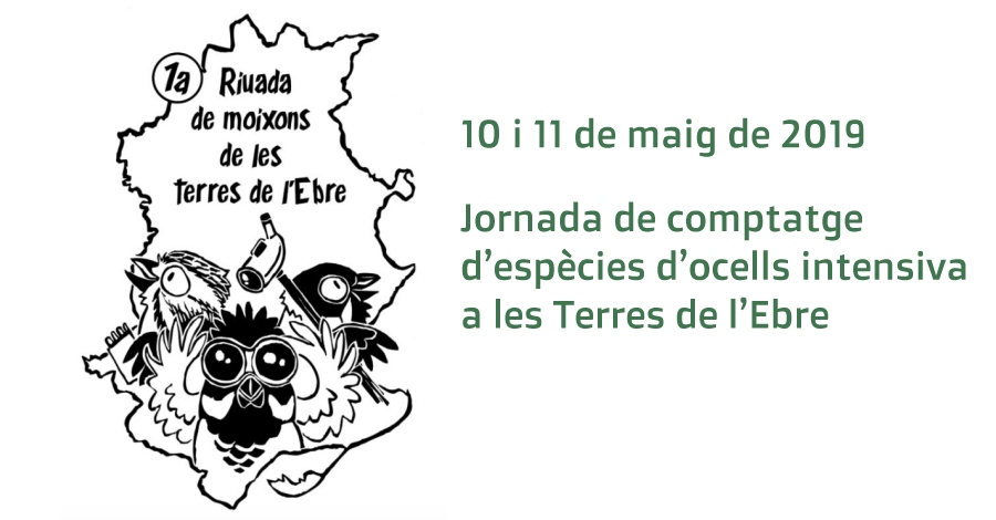 1a Riuada de Moixons Terres de l�Ebre