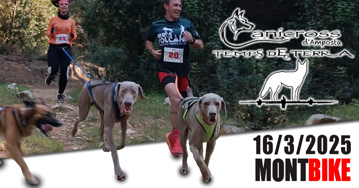 Canicross de Amposta