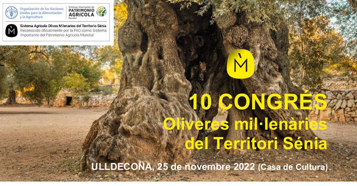 10 Congr�s Oliveres mil�len�ries del Territori S�nia