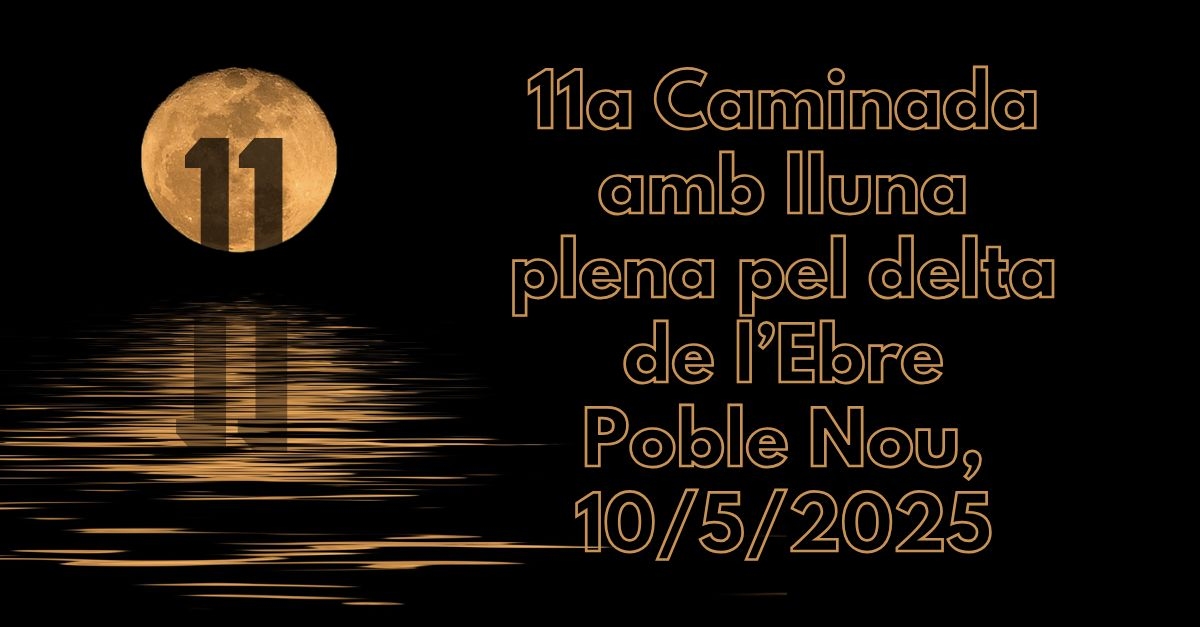 11a Caminada amb lluna plena pel delta de lEbre