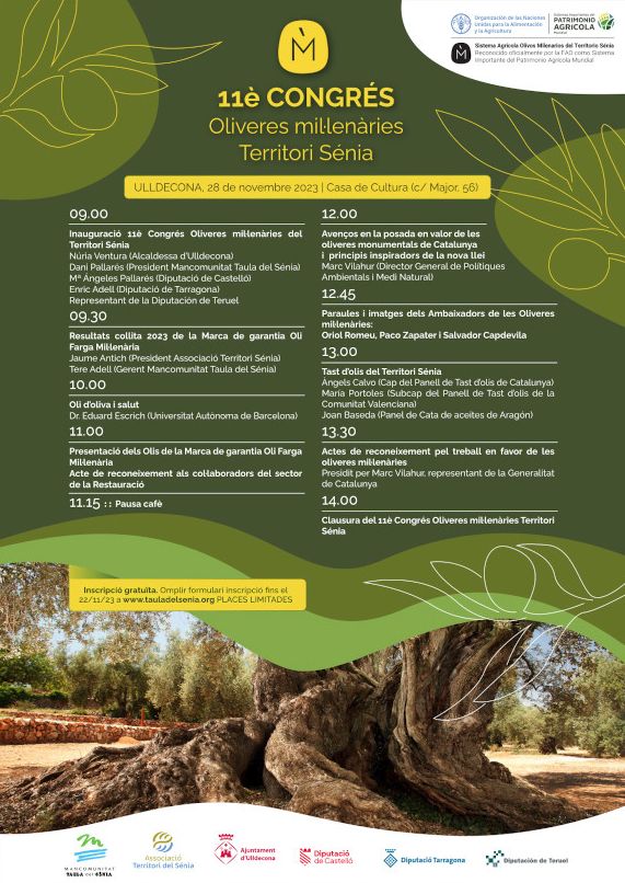Ulldecona acogerá el 11 Congreso de Olivos Milenarios Territorio Sénia | EbreActiu.cat, revista digital de ocio activo | Terres de l’Ebre... Ulldecona acogerá el 11 Congreso de Olivos Milenarios Territorio Sénia | EbreActiu.cat, revista digital de ocio activo | Terres de l’Ebre...