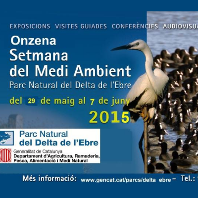 Vídeo Fòrum: els pioners del cinema naturalista al delta de l’Ebre. Visionat de pel·lícules d’Artur Sarró Vídeo Fòrum: els pioners del cinema naturalista al delta de l’Ebre. Visionat de pel·lícules d’Artur Sarró