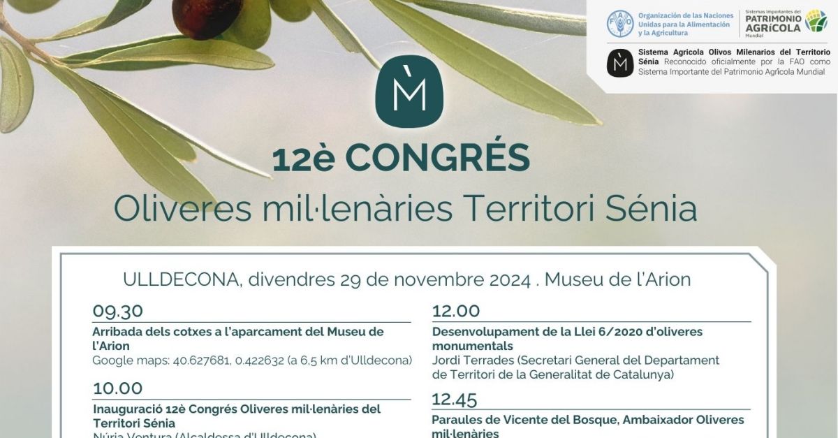 12� Congreso Olivos Milenarios Territorio S�nia