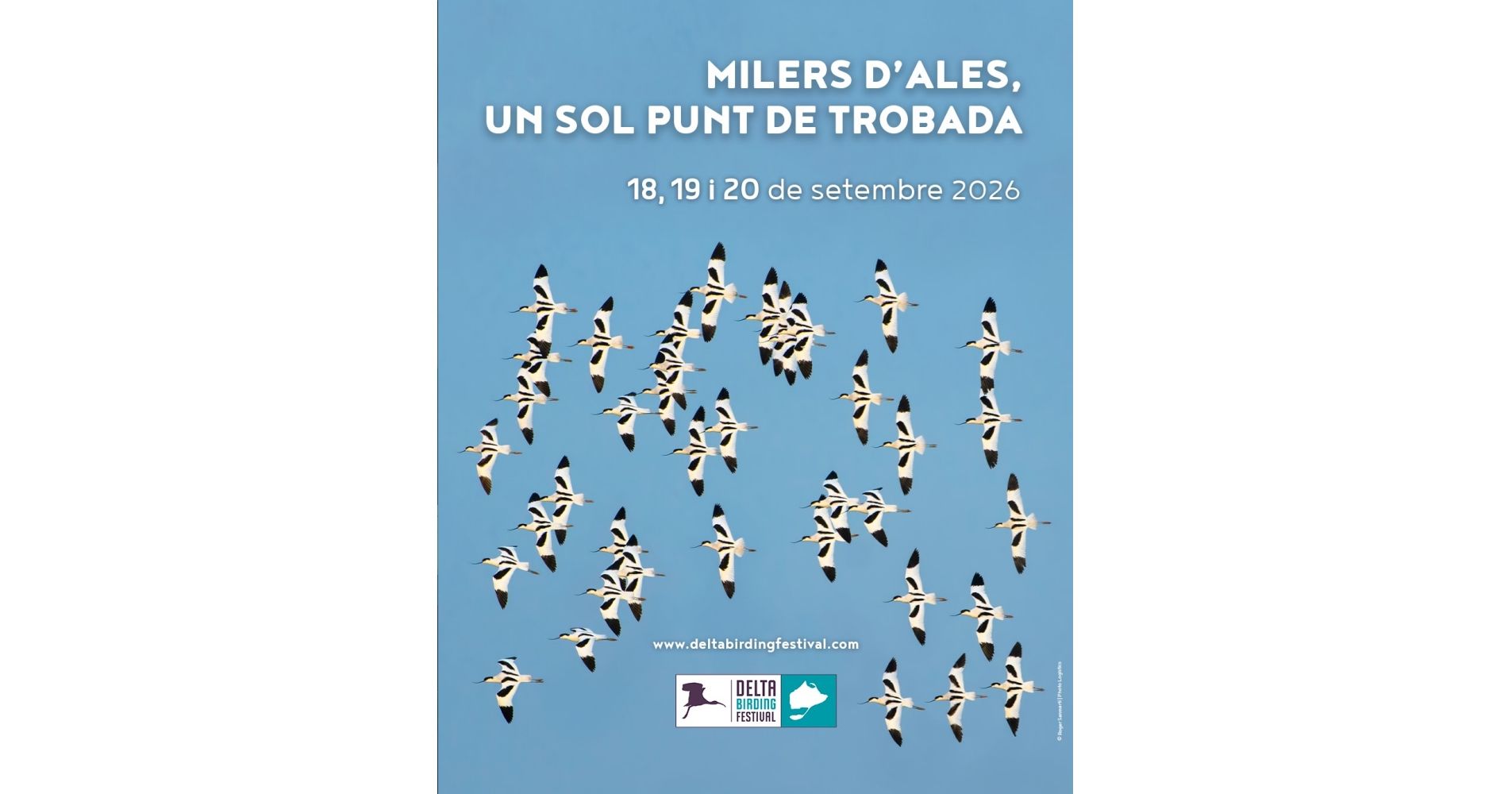 XII Delta Birding Festival