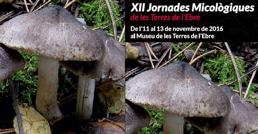 12es Jornades Micol�giques de les Terres de l&rsquo;Ebre