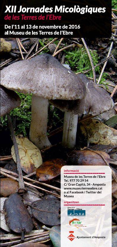 12es Jornades Micol�giques de les Terres de l&rsquo;Ebre