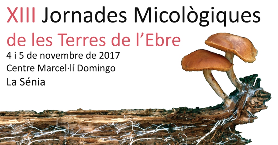 XIII Jornades Micol�giques de les Terres de l&rsquo;Ebre