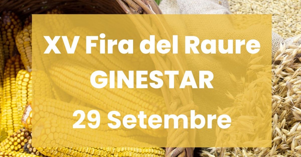 XV Fira del Raure. Fira d�arts i oficis d�arrels tradicionals