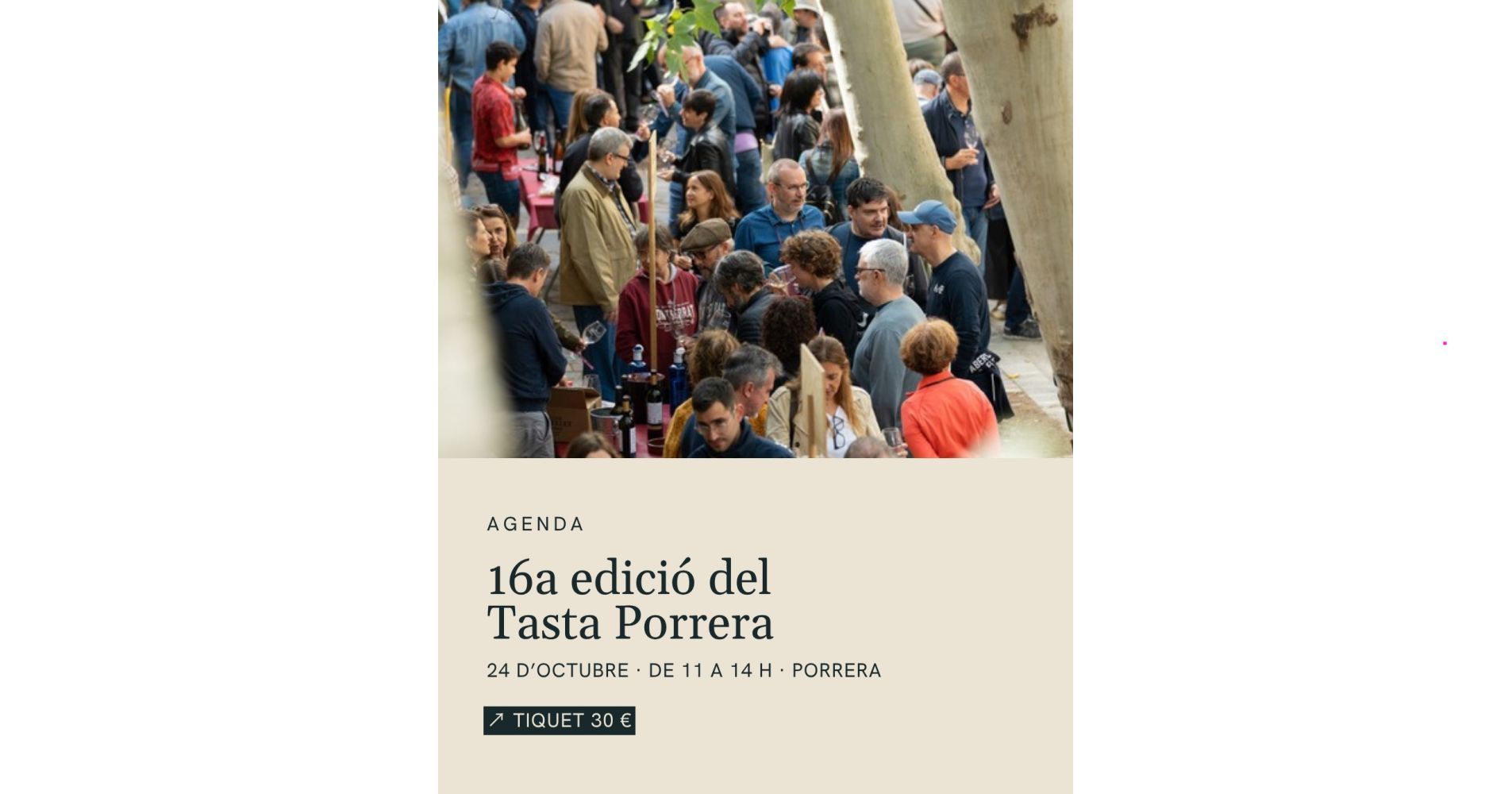 16a Tasta Porrera