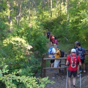 Prop de 1.000 participants a la 18a Travessia nocturna Fredes - Pa�ls GR7