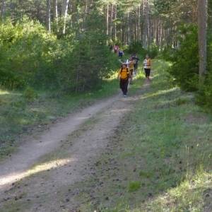 Prop de 1.000 participants a la 18a Travessia nocturna Fredes - Pa�ls GR7
