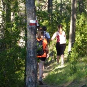 Prop de 1.000 participants a la 18a Travessia nocturna Fredes - Pa�ls GR7