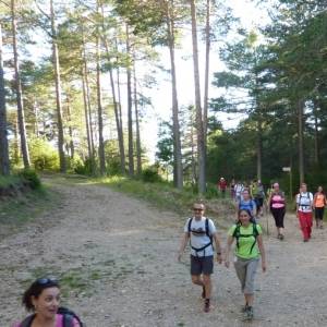 Prop de 1.000 participants a la 18a Travessia nocturna Fredes - Pa�ls GR7