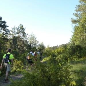 Prop de 1.000 participants a la 18a Travessia nocturna Fredes - Pa�ls GR7