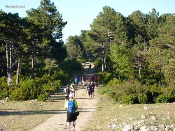 Dinou anys recorrent el GR7 de Fredes a Pa�ls | EbreActiu.cat, revista digital d&rsquo;oci actiu | Terres de l&rsquo;Ebre ...