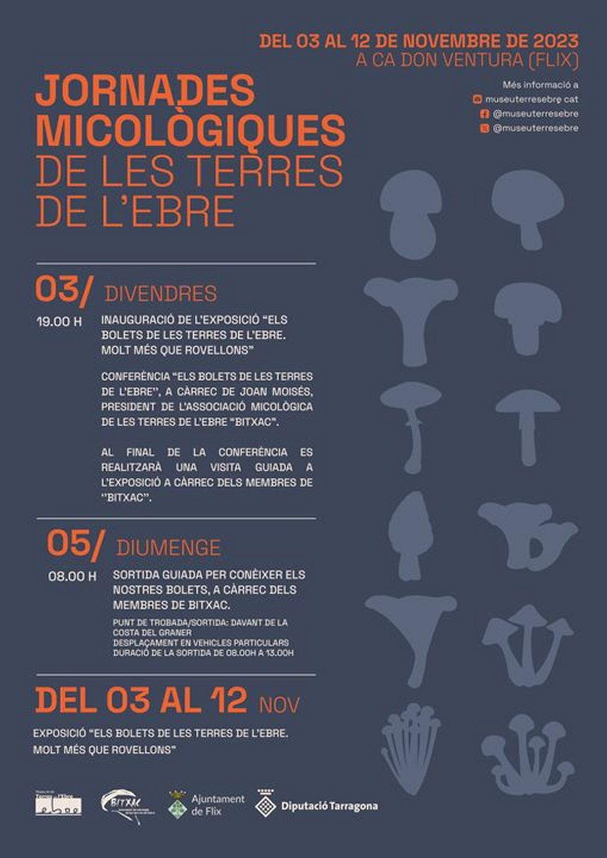 Flix acoge este fin de semana las XIX Jornadas Micológicas de las Terres de l’Ebre | EbreActiu.cat, revista digital de ocio activo | Terres de l’Ebre... Flix acoge este fin de semana las XIX Jornadas Micológicas de las Terres de l’Ebre | EbreActiu.cat, revista digital de ocio activo | Terres de l’Ebre...