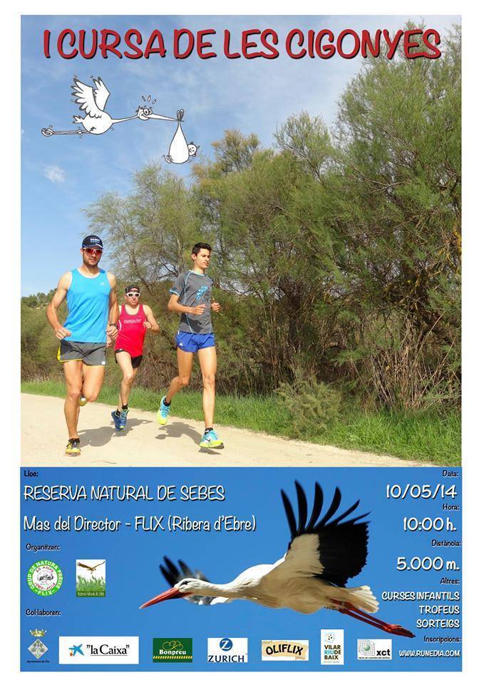 1a cursa de les cigonyes 1a cursa de les cigonyes