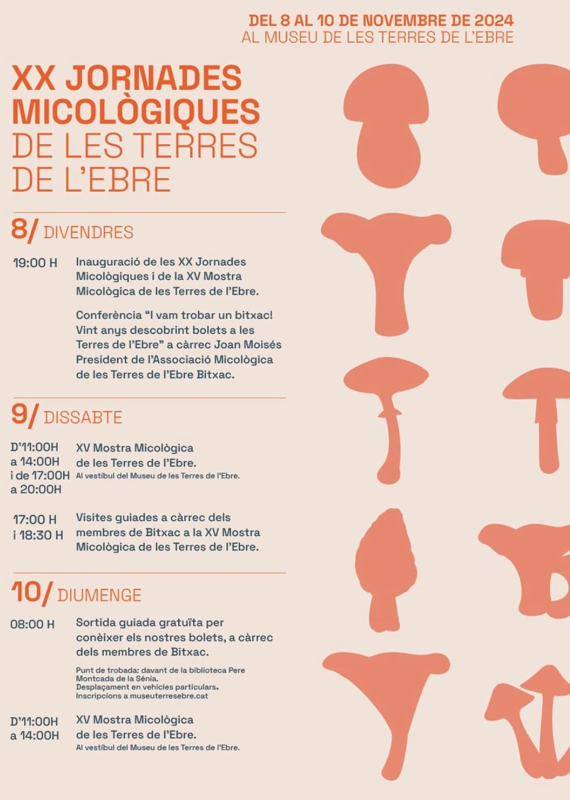 XX Jornades Micològiques de les Terres de l’Ebre XX Jornades Micològiques de les Terres de l’Ebre