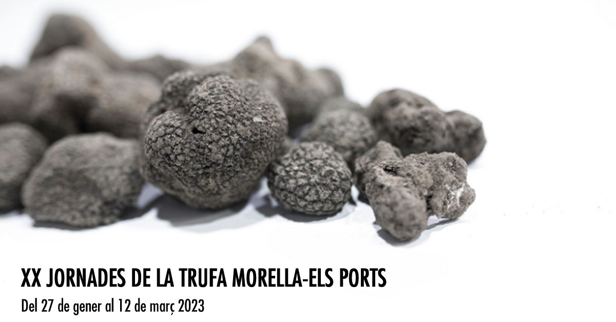 XX Jornades de la Trufa Morella-Els Ports XX Jornades de la Trufa Morella-Els Ports