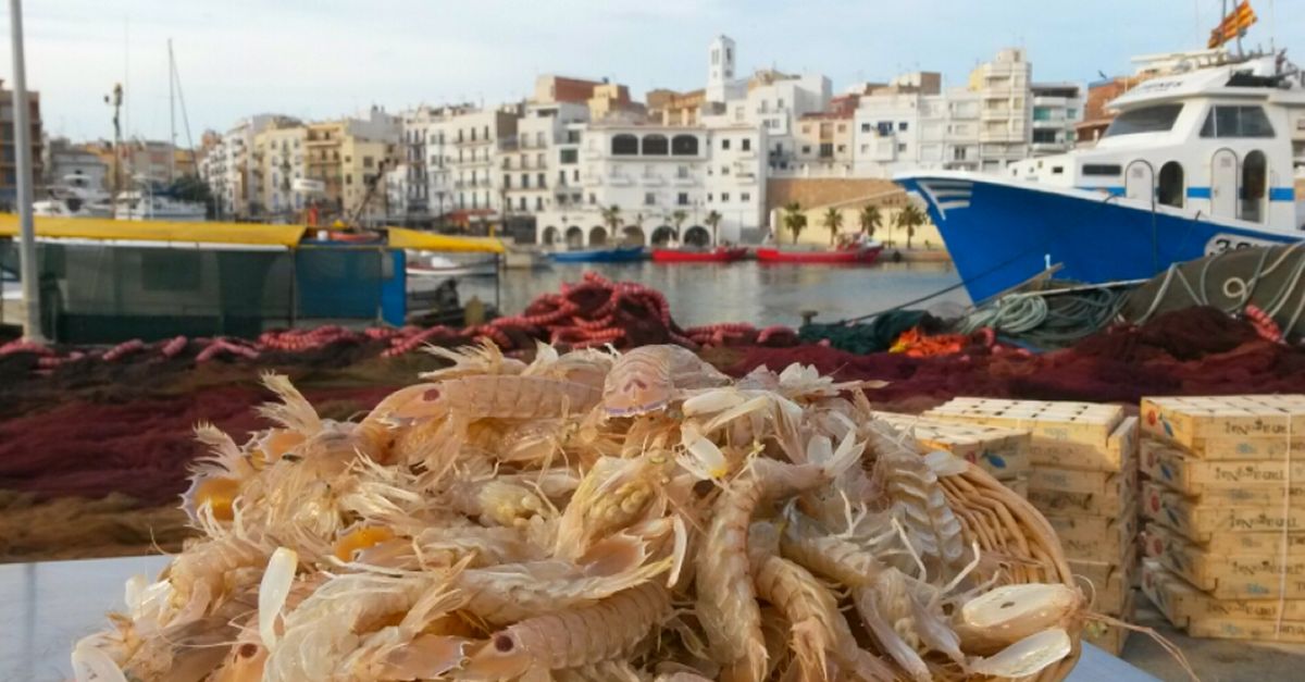 Les Jornades de la Galera finalitzen amb prop de dos mil menús servits a l’Ametlla de Mar | EbreActiu.cat, revista digital d’oci actiu | Terres de l’Ebre ... Les Jornades de la Galera finalitzen amb prop de dos mil menús servits a l’Ametlla de Mar | EbreActiu.cat, revista digital d’oci actiu | Terres de l’Ebre ...