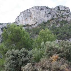 Aurell y Puigarnau ganan la Carrera de Tivissa, �ltima prueba de la Copa Catalana de Carreras por Monta�a