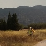 Extingit l’incendi de Tivenys, a la serra de Card-Boix