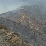 Extingit l’incendi de Tivenys, a la serra de Card-Boix