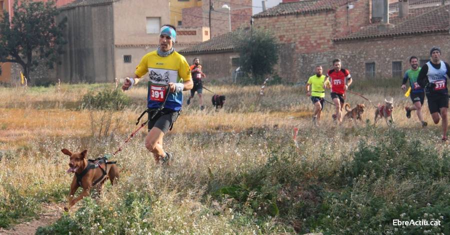 Galeria dimatges de larribada 12 canicrs Les 2 Torres de Campred - 10/2/2019