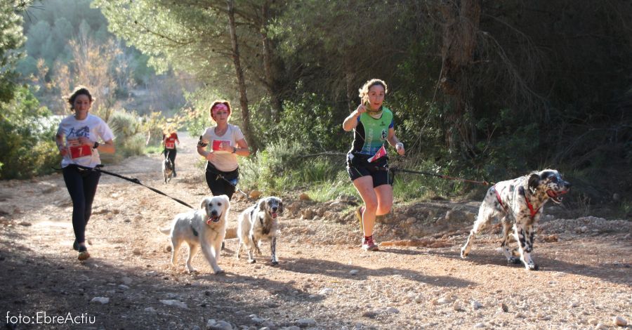 Fotos del 3r Canicrs de lAldea (22/12/2019)