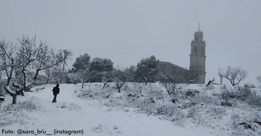Imatges de la nevada del 19 i 20 de gener de 2020 (Tinena de Benifass, Parc Natural dels Ports, serra de Montsi, Terra Alta)