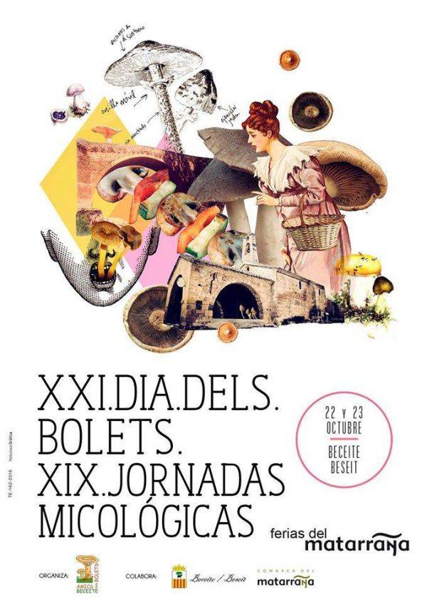 21� Dia dels bolets i 19es Jornades micol�giques