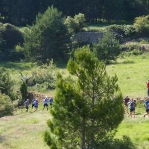600 participants a la 21a edici de la Fredes-Pals