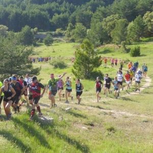 600 participants a la 21a edici de la Fredes-Pals